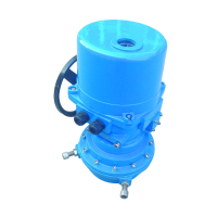 QT250-0.3電動(dòng)裝置